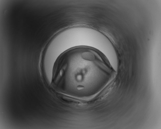 X0000087590156200705181225