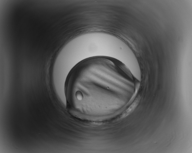 X0000087590158200705181225