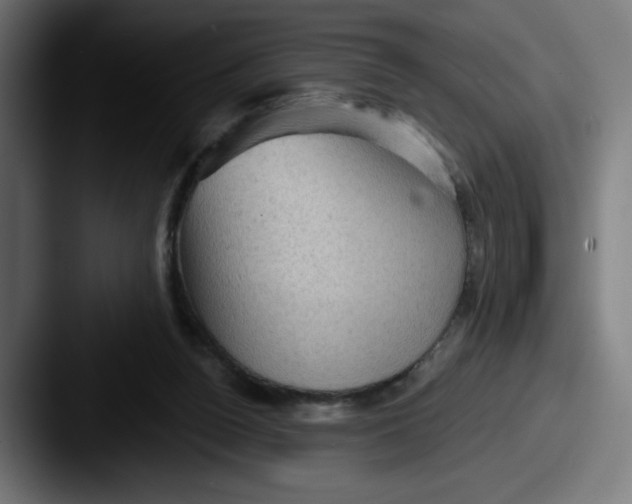 X0000087590160200705181225