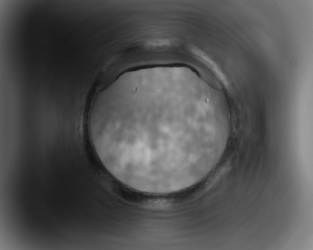 X0000087590161200705181225