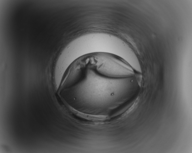 X0000087590162200705181225