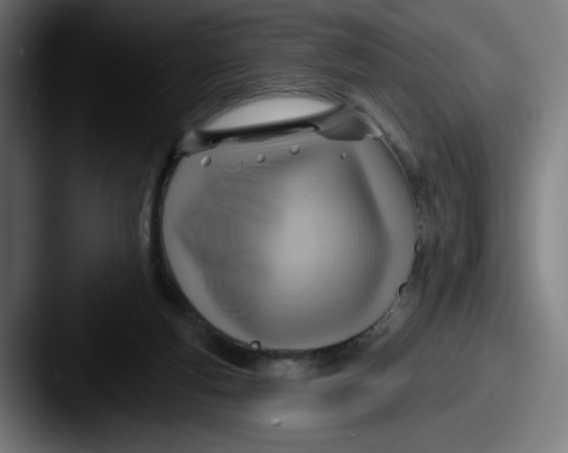 X0000087590163200705181225