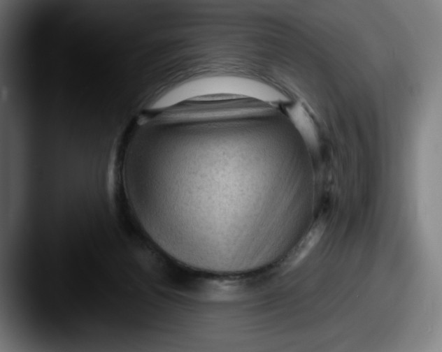 X0000087590164200705181225