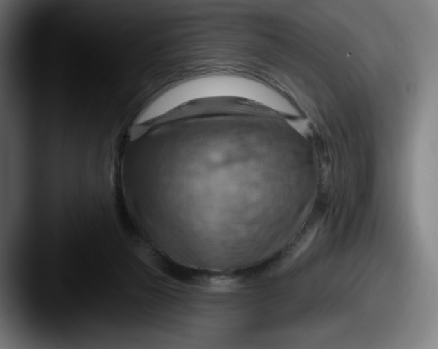 X0000087590165200705181225