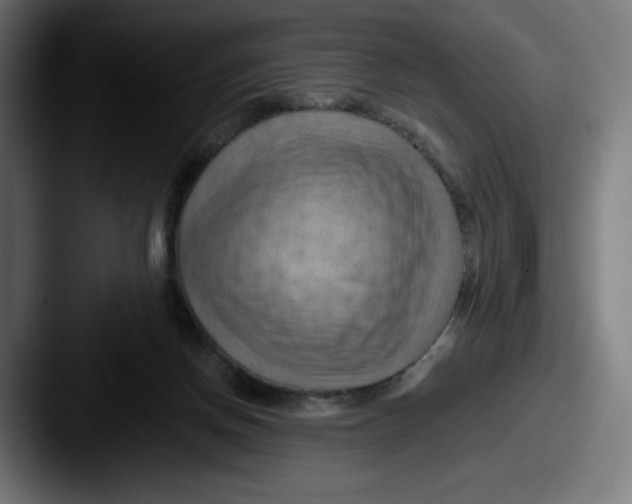 X0000087590166200705181225