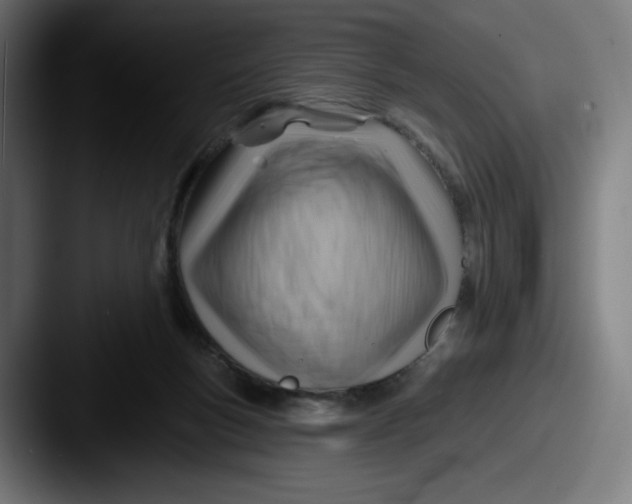 X0000087590167200705181226