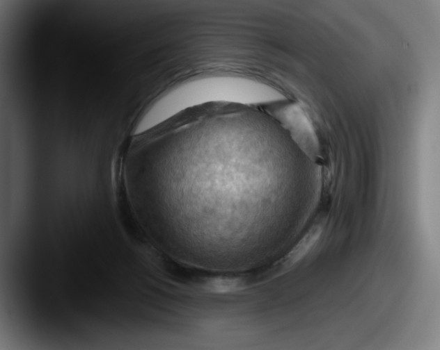 X0000087590168200705181226