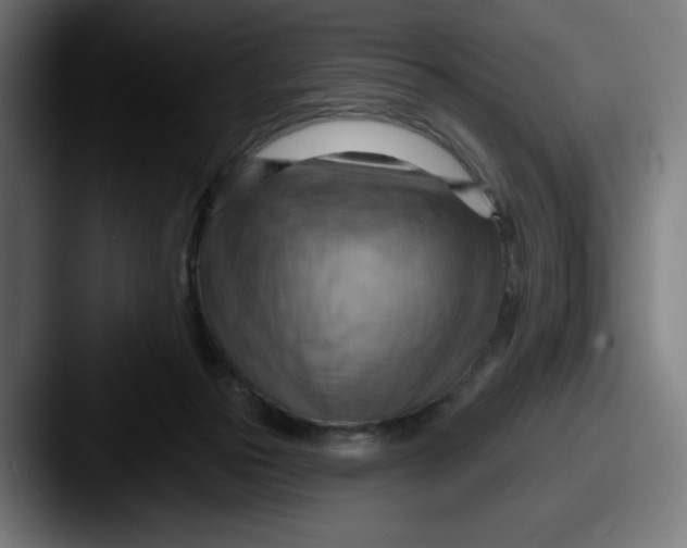 X0000087590169200705181226