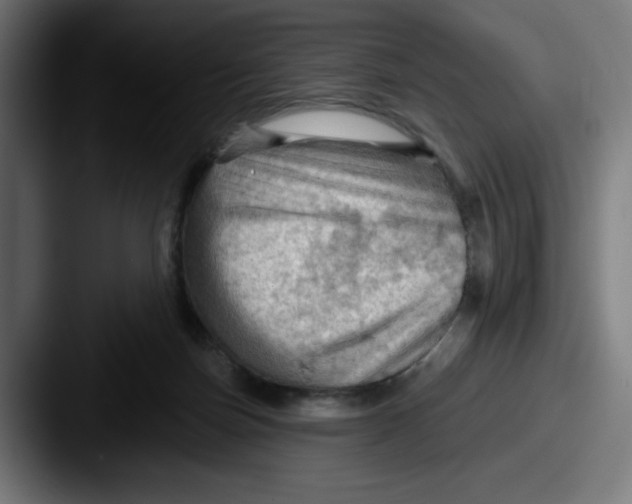 X0000087590171200705181226