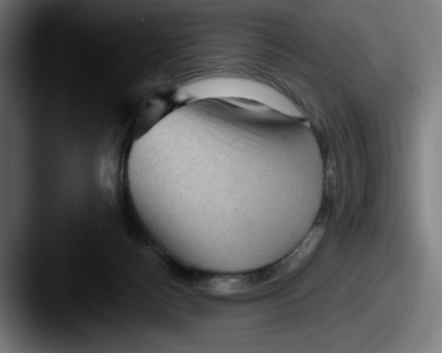 X0000087590172200705181226