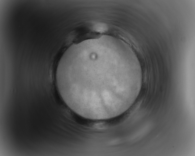 X0000087590173200705181226