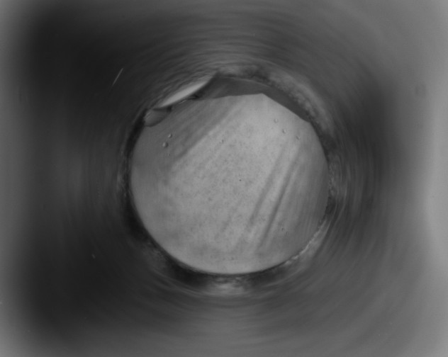 X0000087590175200705181226