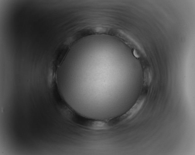 X0000087590176200705181226