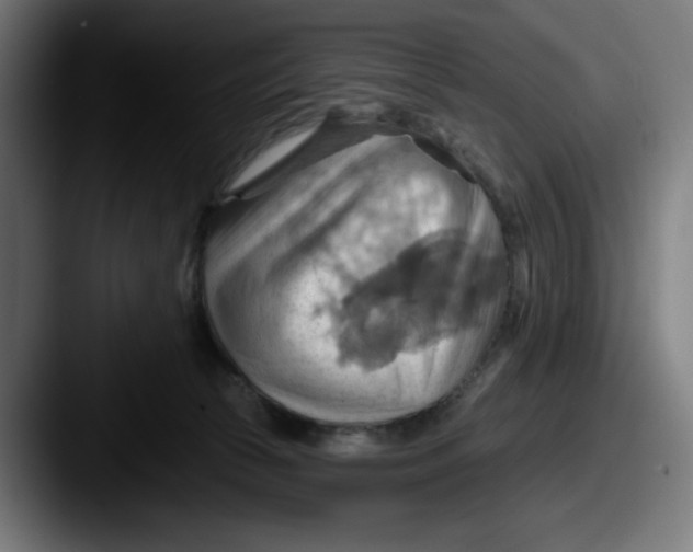 X0000087590177200705181226