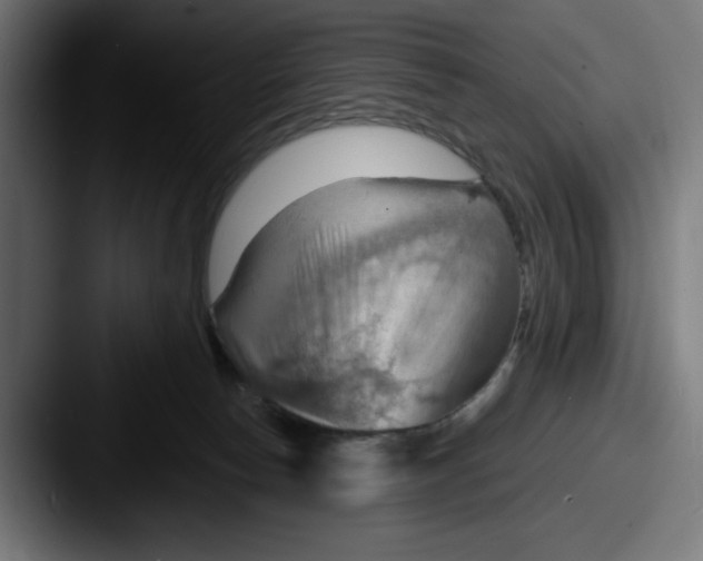 X0000087590178200705181226