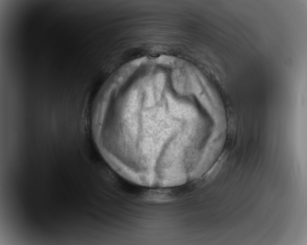 X0000087590179200705181226