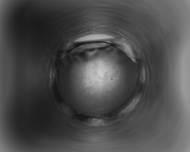 X0000087590180200705181226