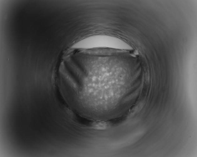 X0000087590181200705181226