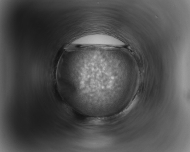 X0000087590182200705181226