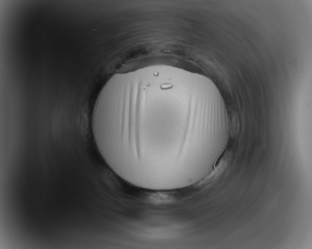 X0000087590183200705181226