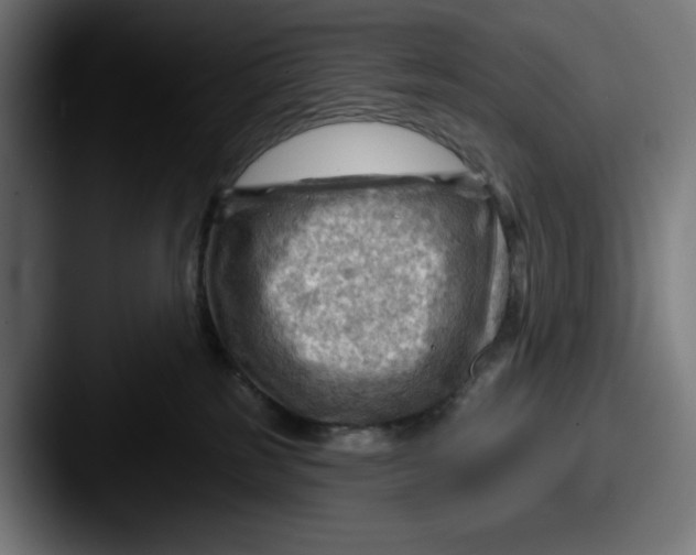 X0000087590185200705181226