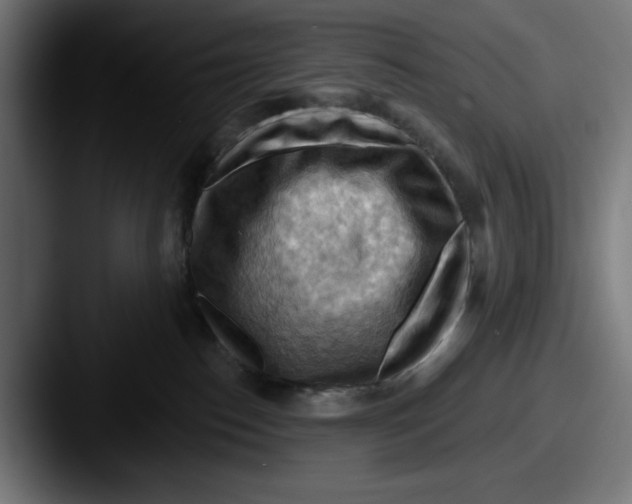 X0000087590186200705181226