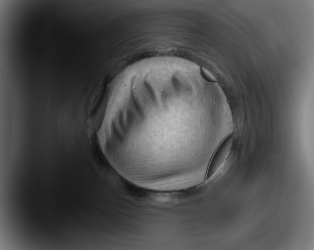 X0000087590187200705181226