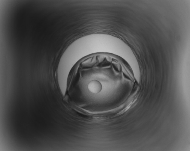 X0000087590188200705181226