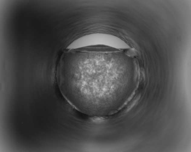 X0000087590189200705181226