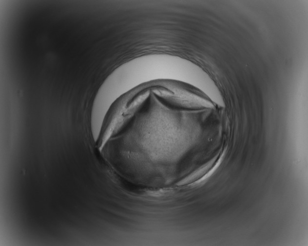 X0000087590190200705181226