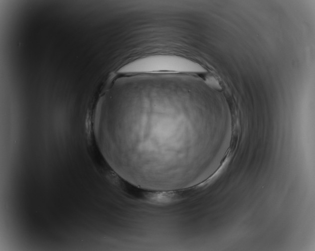 X0000087590191200705181226