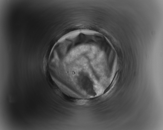 X0000087590192200705181226