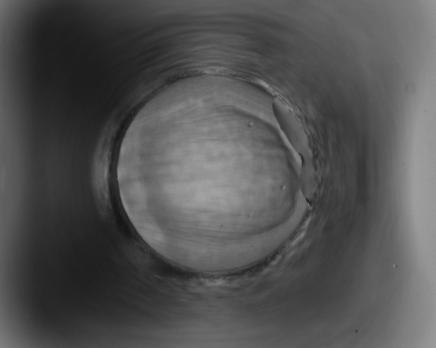 X0000087590194200705181225