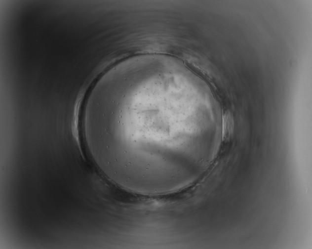 X0000087590195200705181225