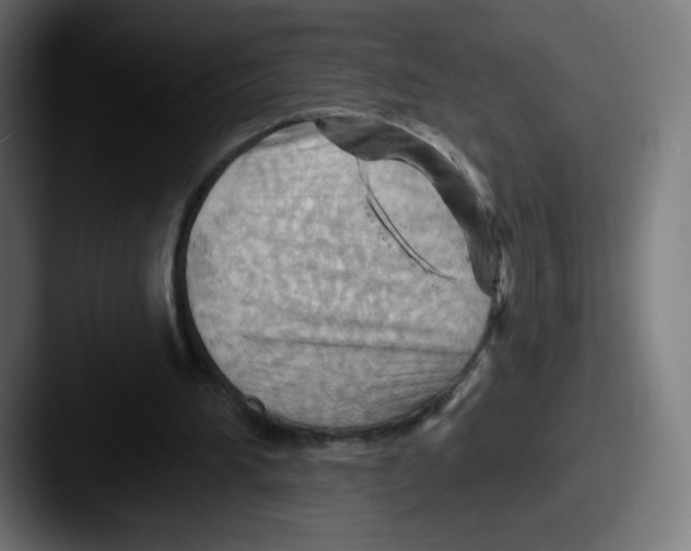 X0000087590196200705181225