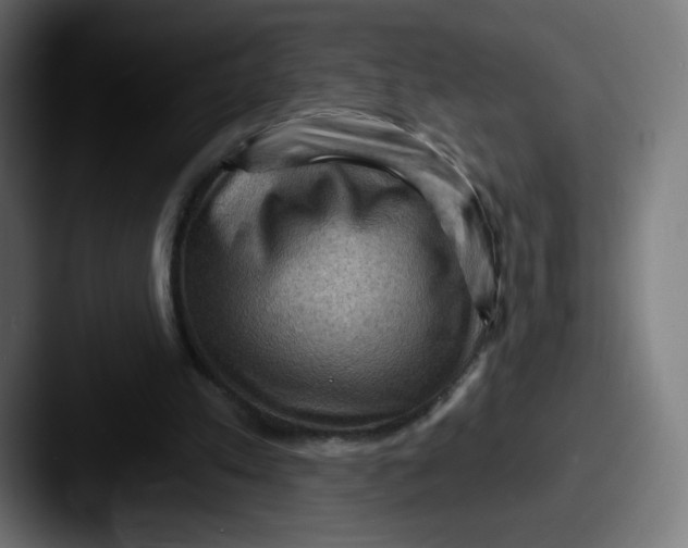 X0000087590197200705181225