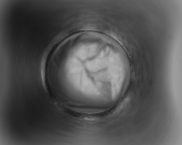 X0000087590199200705181225