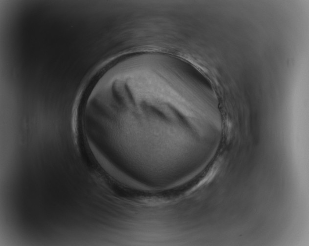 X0000087590200200705181225