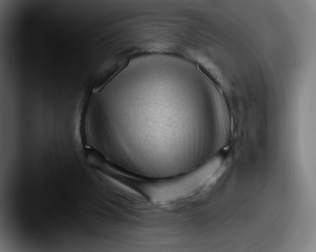 X0000087590201200705181225