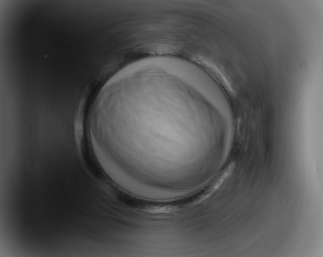 X0000087590202200705181225