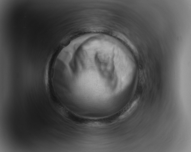 X0000087590203200705181225