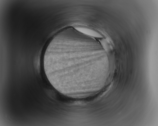 X0000087590204200705181225