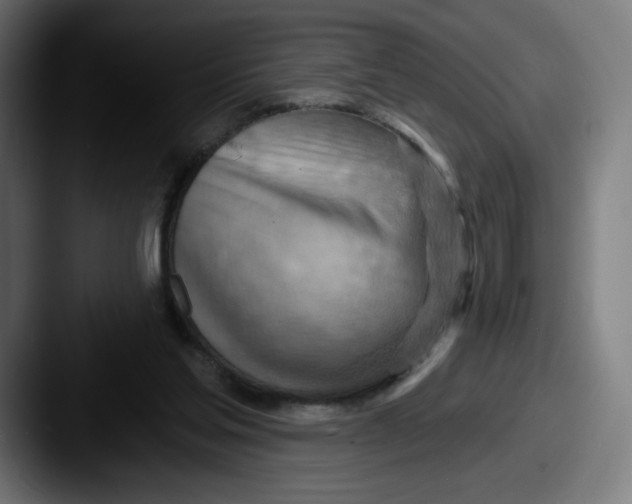 X0000087590205200705181225