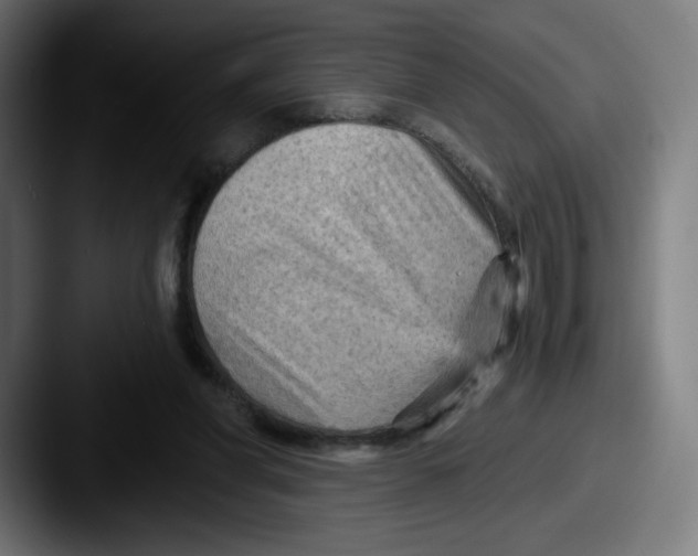 X0000087590206200705181225