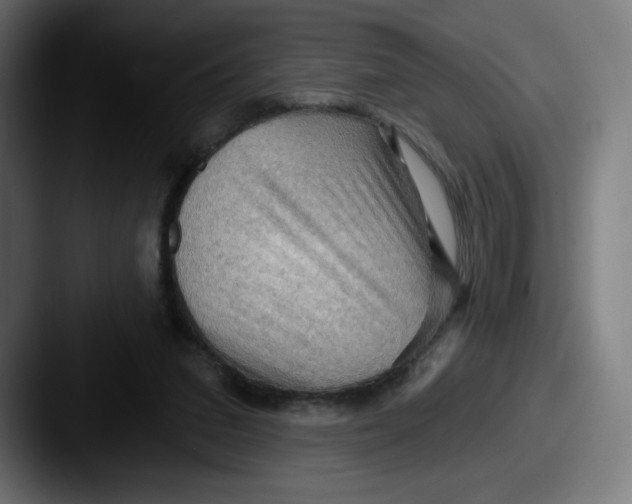 X0000087590207200705181225