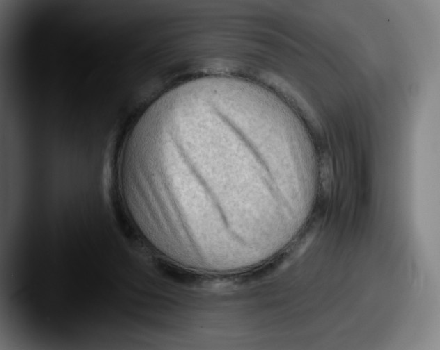 X0000087590208200705181225