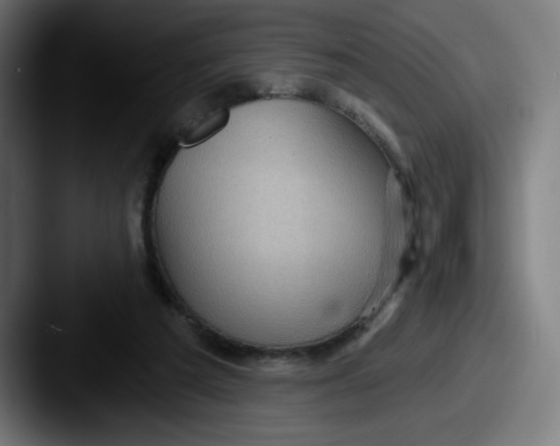 X0000087590209200705181225