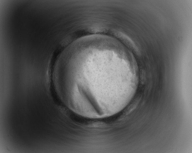 X0000087590210200705181225