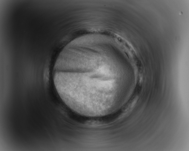 X0000087590211200705181225