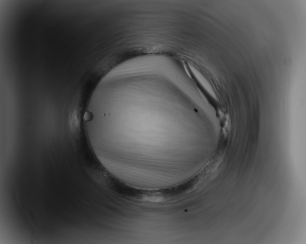 X0000087590214200705181225